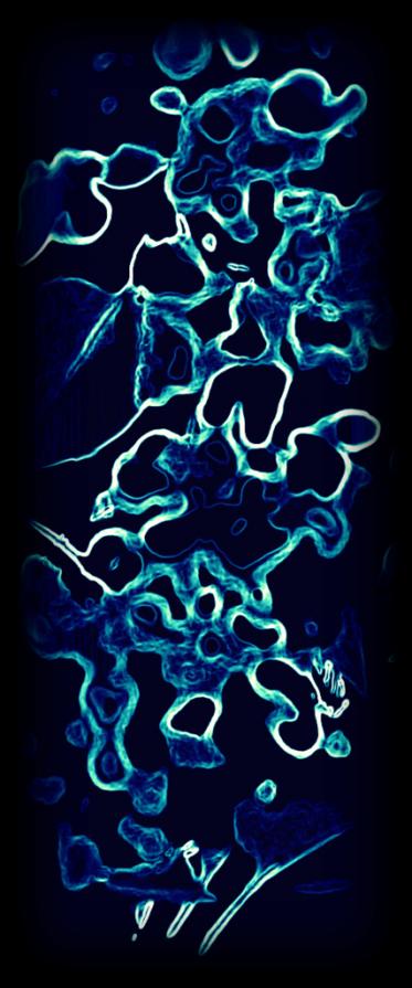 Forma Experimentale 6