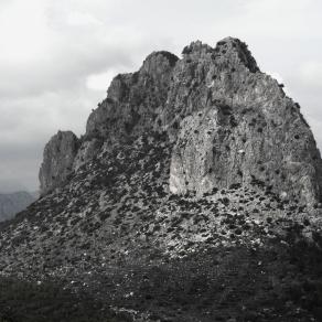 MORE THAN EVER Buffavento 24