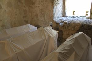 MEMO_ART Merler&Molin - RIANIMAZIONI VEGETALI