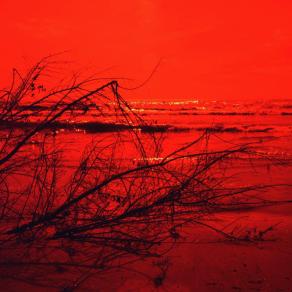 Gita sulla spiaggia poco dopo il Fall-Out nucleare