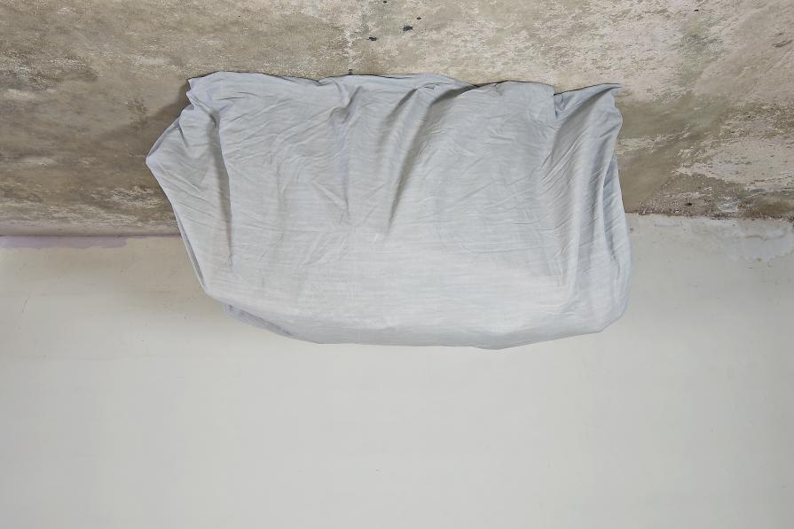 Project Ensueño 2014-2016