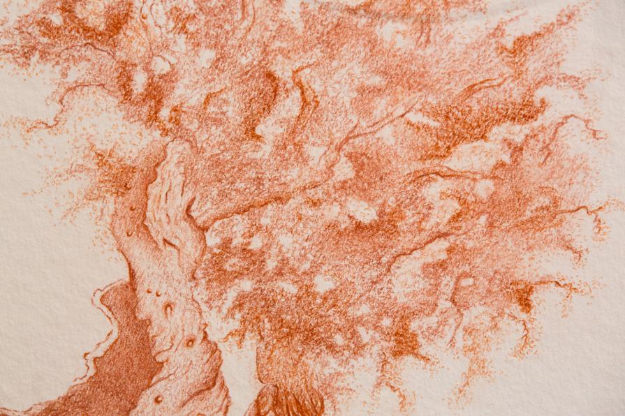 a U L I V O o f R 7 ®