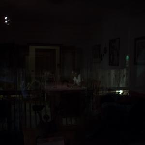 A Sky Full Of Stars For A Roof