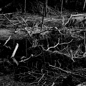 Dark landscape #9661