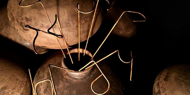 Rudy Pulcinelli, Bíos