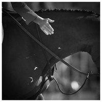 Concorso Ippico Castiglioncello