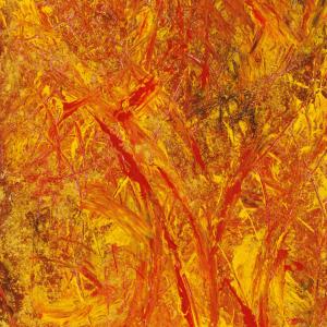  Il sorriso di Roberta per l’UNICEF – Progetto "Scuola e protezione per i bambini di strada" in Bangladesh”