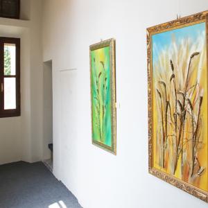 BARBARA GHISI AL PALAZZO DUCALE DI REVERE, DAL 17 MAGGIO AL 4 GIUGNO