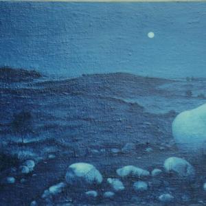 I fiori della notte / Renzo Fortin