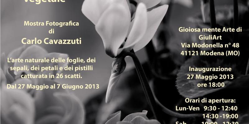 Cromosomi in vegetale Cromosomi in vegetale