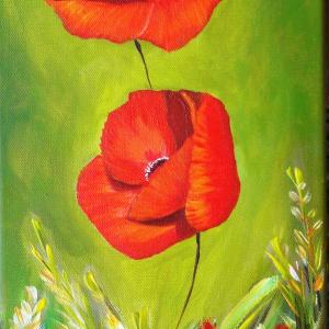 Il sorriso di Roberta per l’UNICEF – Progetto "Scuola e protezione per i bambini di strada" in Bangladesh”