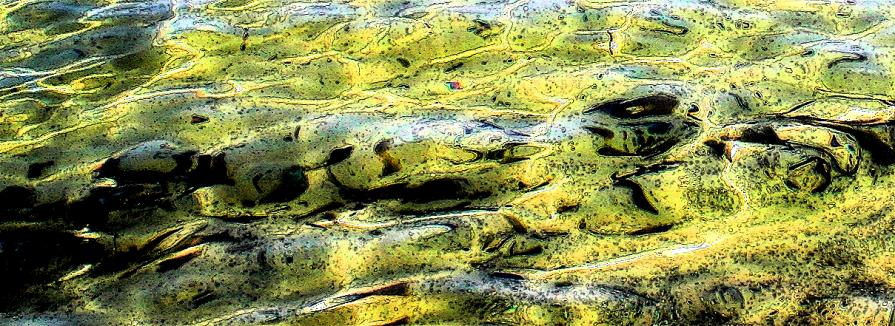 L'ALTROVE ..vicino a noi