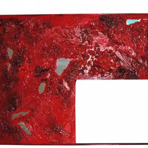 Il cerchio della vita