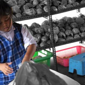 La bimba e le sue conchiglie ...