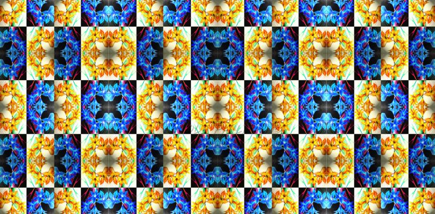 Tessellation - Clivia Minata