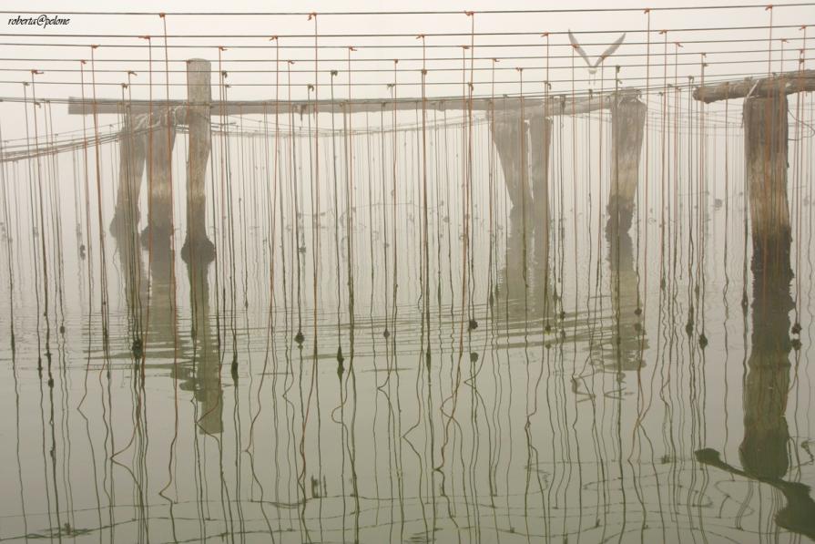 Spartito musicale e il Diapason batte il tempo