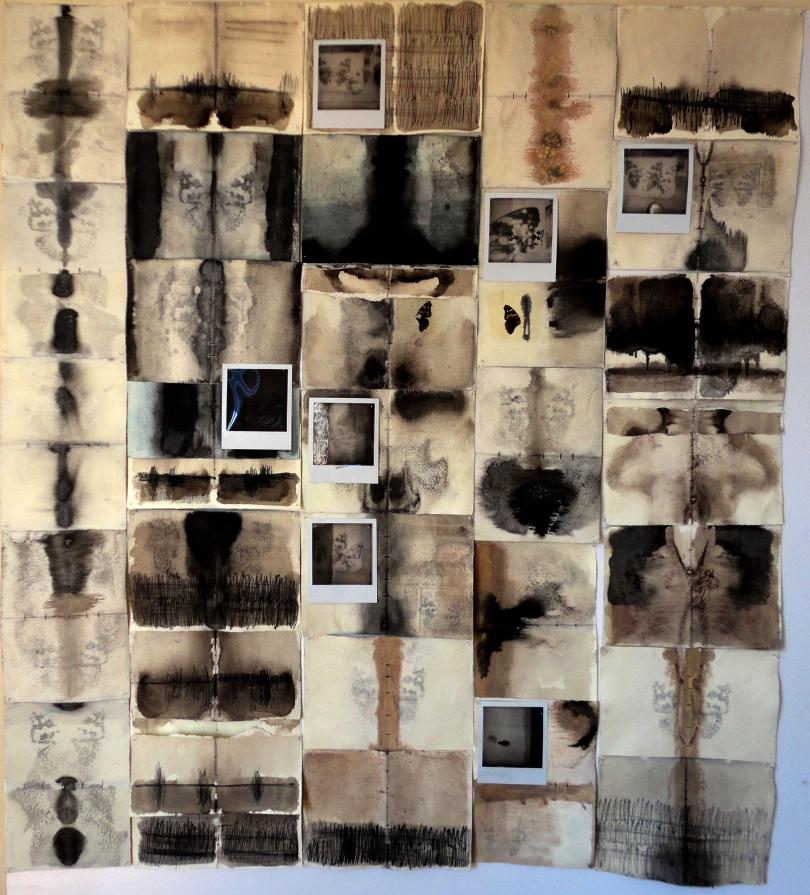 " Catturare l'Anima" " Catturare l'Anima"