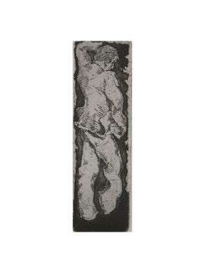 l'immagine che scompare