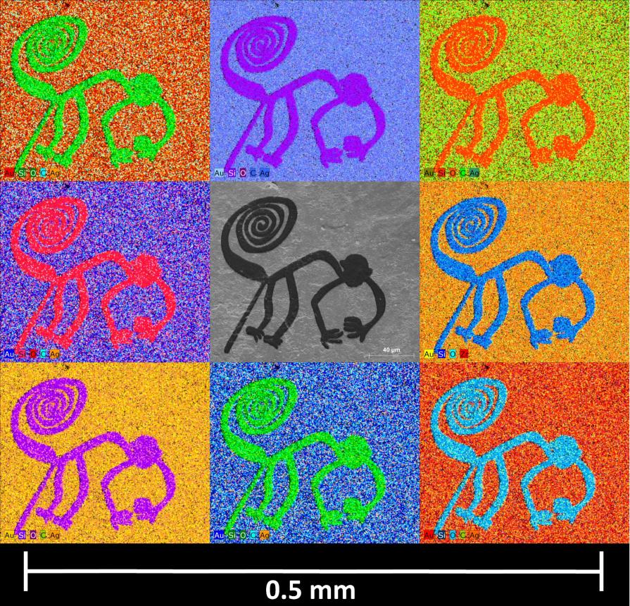 Monkey Montage Monkey Montage