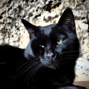 Lo sguardo oltre il visibile 