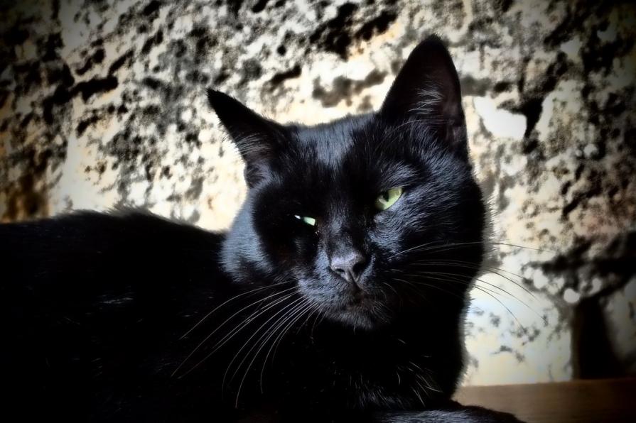 Lo sguardo oltre il visibile 