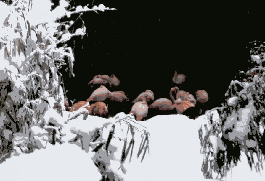 FlamingOS@SnoW (MorePink(&WHitE))