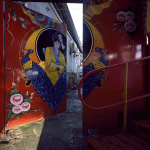 Iole Capasso - "Tutti i martedì" (Edenlandia 2014)