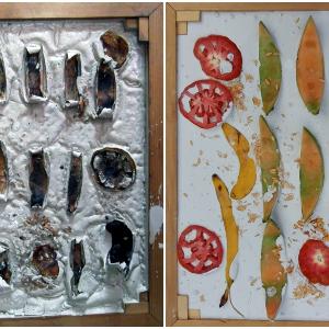 buccia di banana & pomodoro buccia di banana & pomodoro