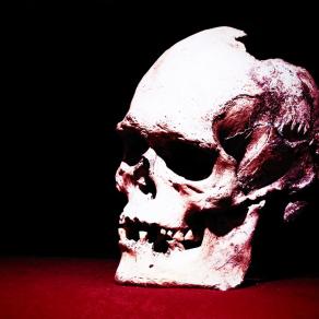 Hi brother, welcome!