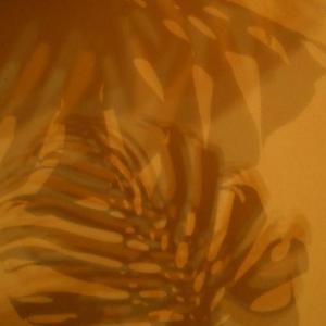 I colori della biodiversità -2014 