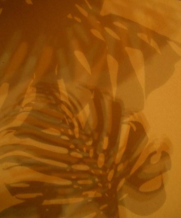 I colori della biodiversità -2014 