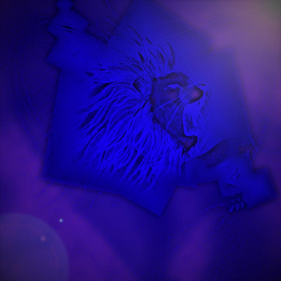 . . . MALEDETTA PRIMAVERA !!! . . . 