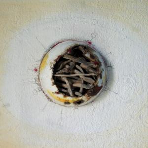 Sepoltura. Uomini e lupi sono sepolti insieme. Sepoltura. Uomini e lupi sono sepolti insieme.