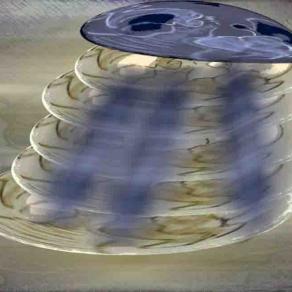 حلزون , Snail  has a English Melon on The Head