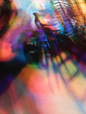  I COLORI DELLA BIODIVERSITÀ