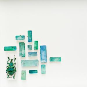 About coloured matter #2 About coloured matter #2