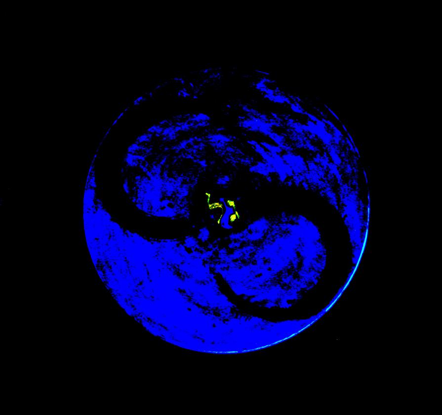 Letizia Ardillo-GAL-