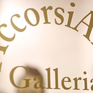 EXPO-CASA - OVAL Lingotto - Torino  -  Galleria "AccorsiArte"