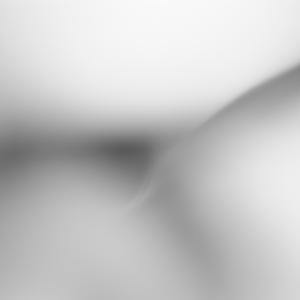 Artistica 2009-Ferrara ,Castello Estense,18 aprile - 3 maggio 2009