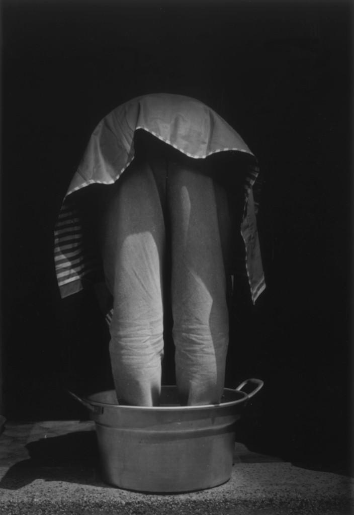 Turi Rapisarda - Phytomorphic