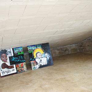 Ginestrelle A.I.R. 2010-2011 presenta l'artista canadese Adrianne Williams 