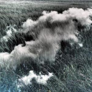 OfficinARS - In Fieri