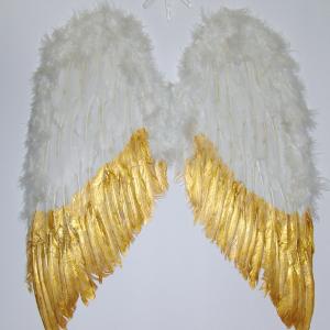 Punti di Vista - Arte & Colori dal Mondo