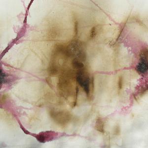 Le allusioni della materia