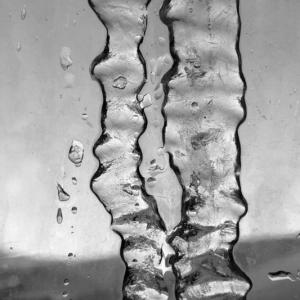 "Solidarietà artistica contro la perdita della cultura"