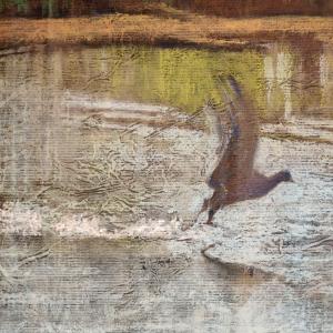 LE FOTO DI ALTRA NATURA IN VILLA fino al 25 ottobre CLUB LA MERIDIANA (MO)