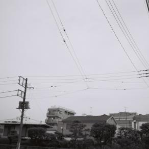 electrical wires=feti