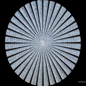 circolarità dell'essere