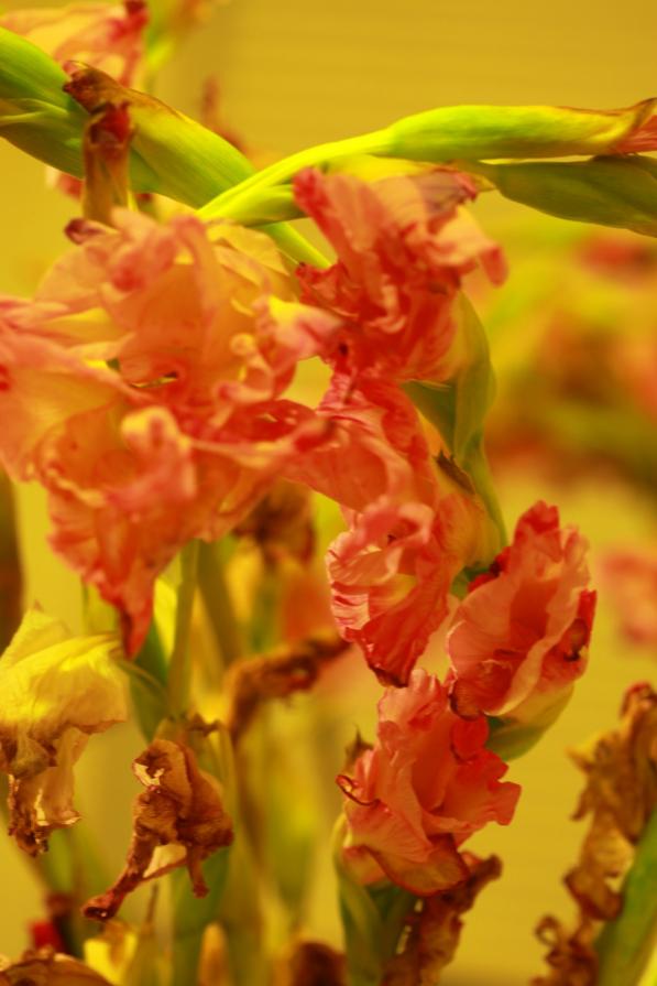 Unravel II , from "You Were Warned" series