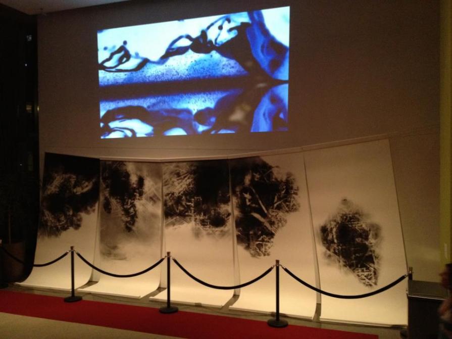 Mostra Reflection & Projection with Chiara Pino-by Push Pin Up Productions-Photographic and video wo